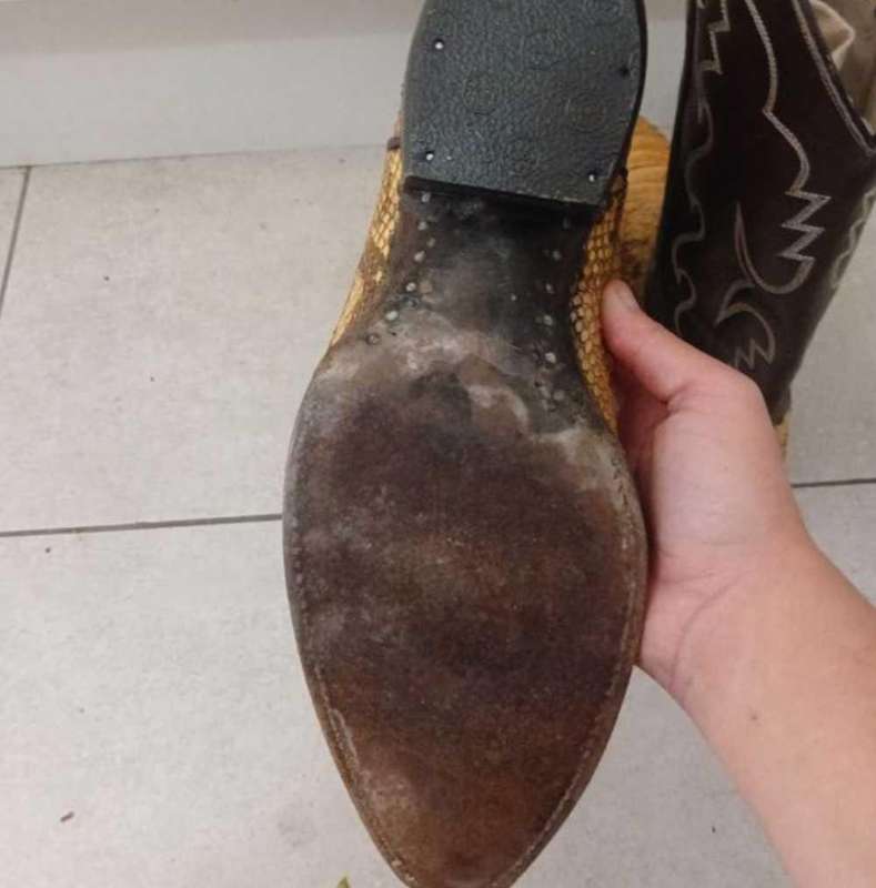 Alligator boots