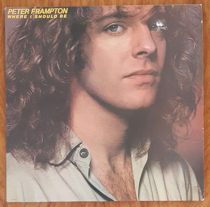 Peter Frampton - Where I should Be