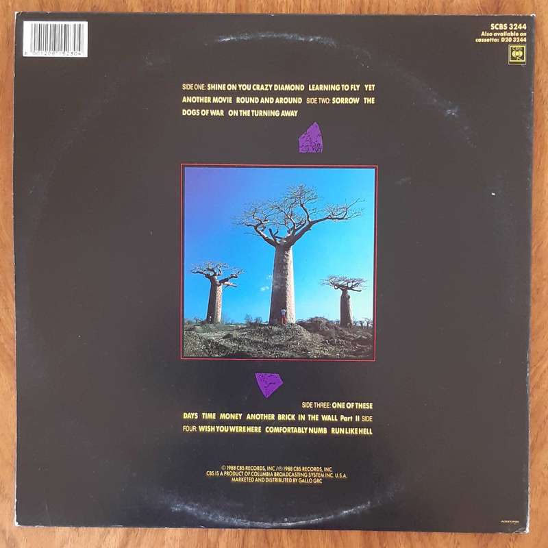 Pink Floyd - Delicate Sound of Thunder - Double Album - Vinyl LP