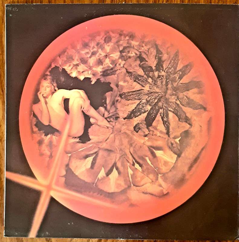 Rabbitt - A Croak and a Grunt in the Night - Vintage Vinyl Record LP