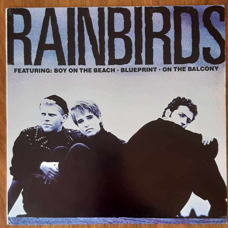Rainbirds - Vintage Vinyl LP
