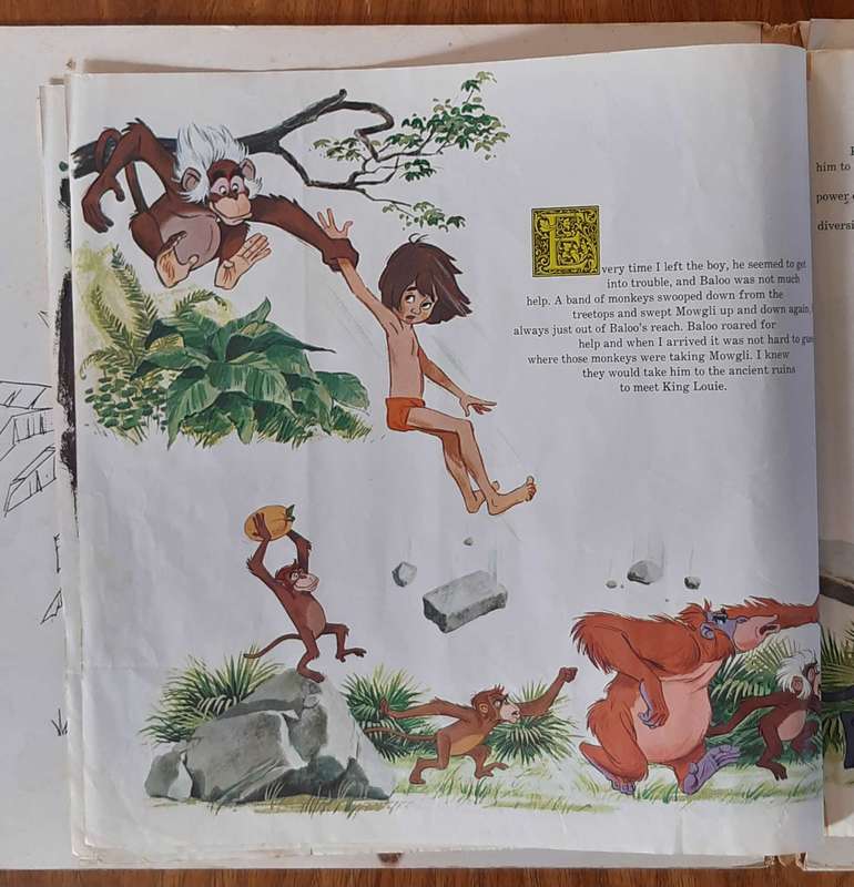 Walt Disney - The Jungle Book Vintage Vinyl LP - with illustrated magazine