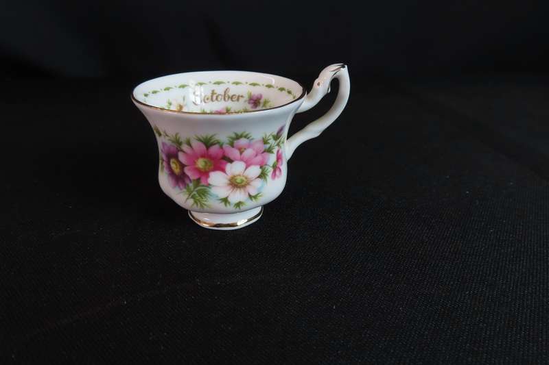 Royal Albert Miniature Cup & Saucer:  Cup Cosmos October.  Saucer: Michaelmas Daisy September
