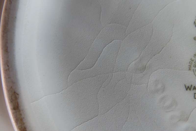 Royal Doulton "Water Lily" D6343 Fruit Bowl