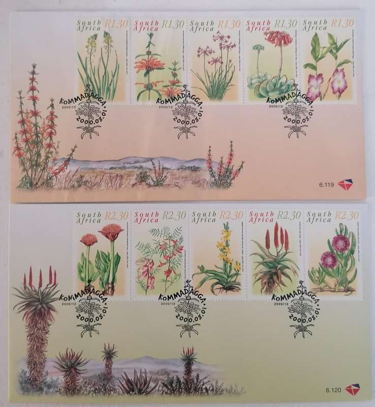RSA 6.119 & 6.120 FDC