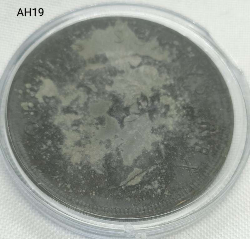1951 Union of SA crown - 5 shillings - .500 silver - in capsule