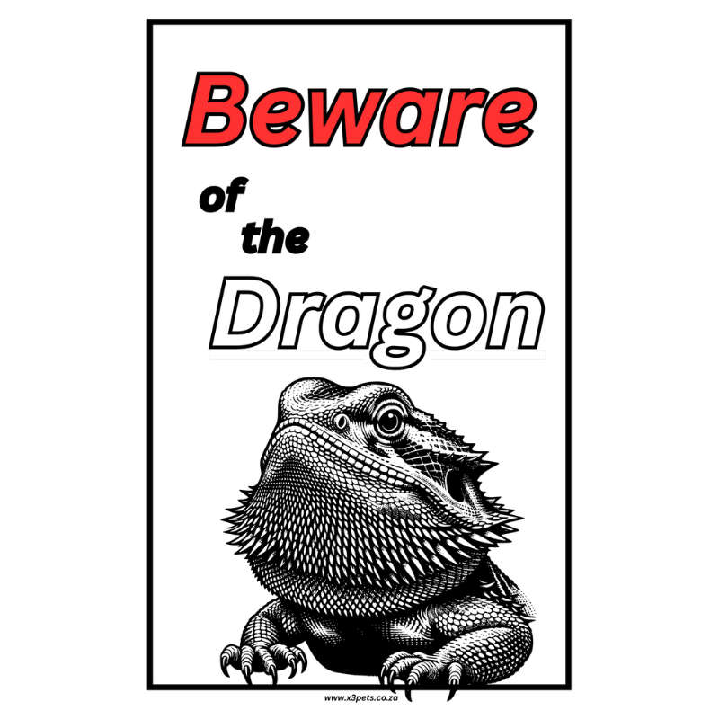 Beware of the Dragon Sign (30cm x 20cm x1mm Wide ) A4 Size