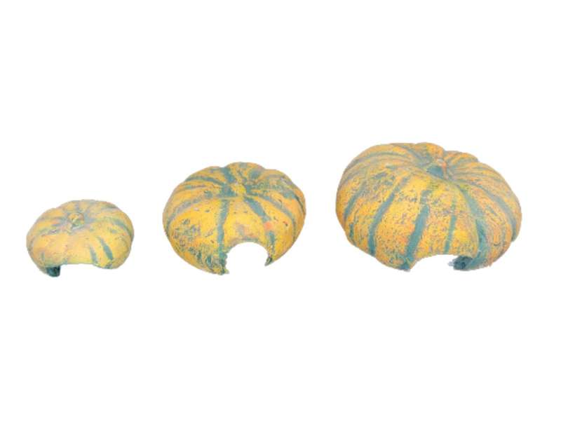 Durable, Natural Reptile Pumpkin Hide/Cave - Large