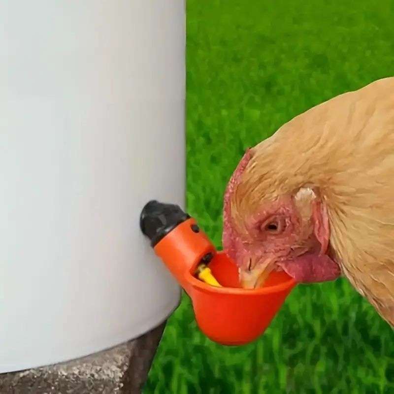 Poultry Side Drinking Nipple With cup ( 20 piece )