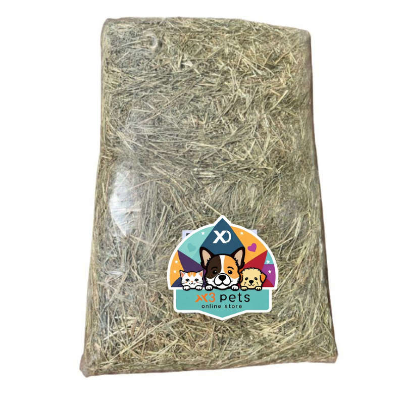 Pet Edible Teff Grass Bedding for Rabbits / Bunnies