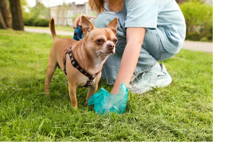 Doggie Poop Bags - 8 Rolls Pack