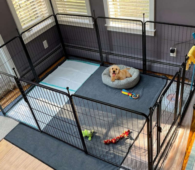 Dogs Play Pen Large