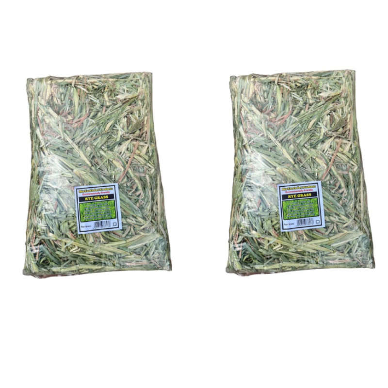 Rye Grass for Rabbits / Chinchillas Combo Pack of 2 Blooks