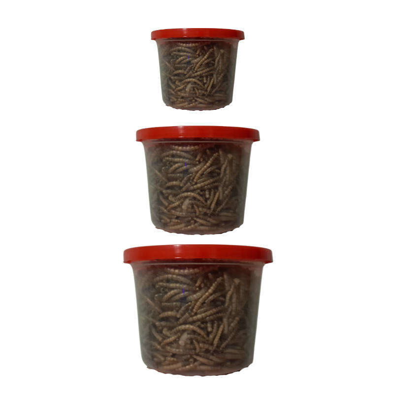 Dried Mealworms Vale Plastic Tub - S