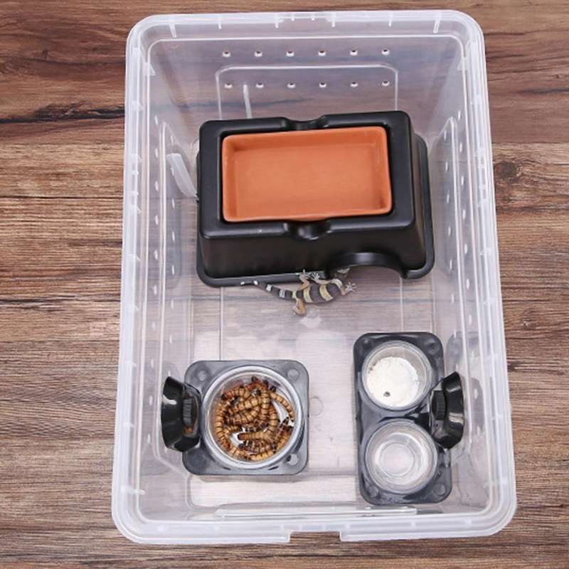 Pet Reptile Suction Cup Single & Double Water & Food Bowl Pack Of 2