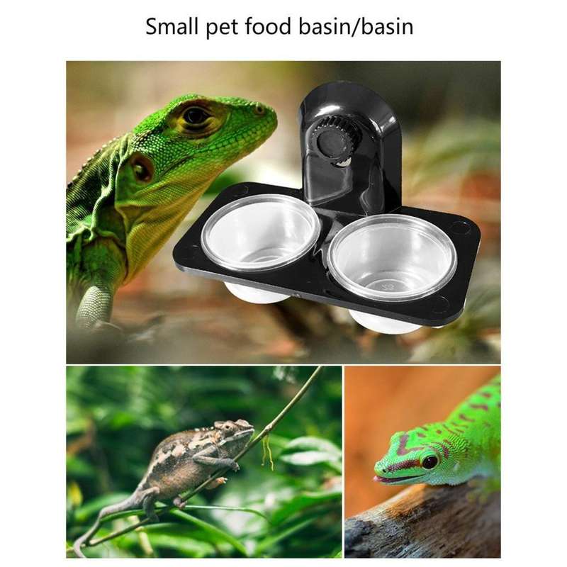 Pet Reptile Suction Cup Single & Double Water & Food Bowl Pack Of 2