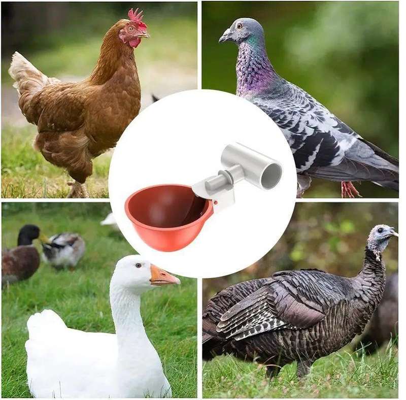 Chicken 16 Combo Pack Nipple Drinker Set (Poultry)