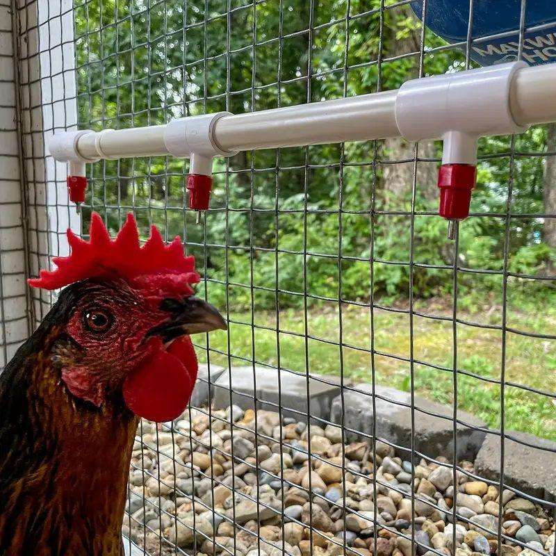 Chicken Waterer Nipples with PVC Tee Fittings - 10 PCS