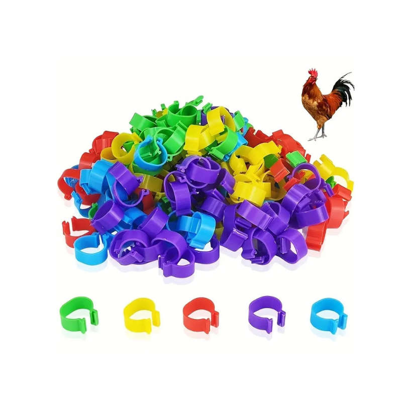 100 Piece Colorful Chicken Leg Bands - 16mm