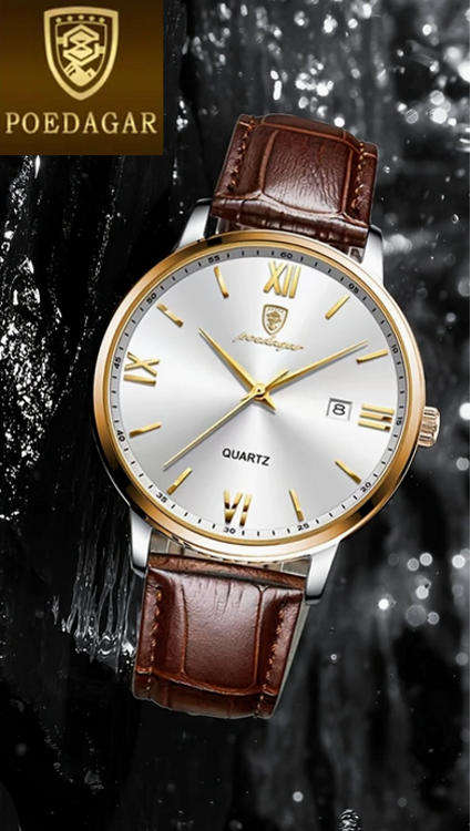 POEDAGAR Quartz Watch with Calendar and  Brown Leather Strap