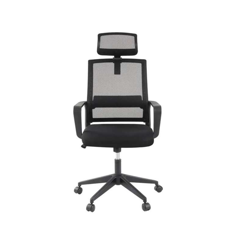 DotFurn Executive High Back Office Chair  Ergonomic Mesh Design with Lumbar Support & Adjustable