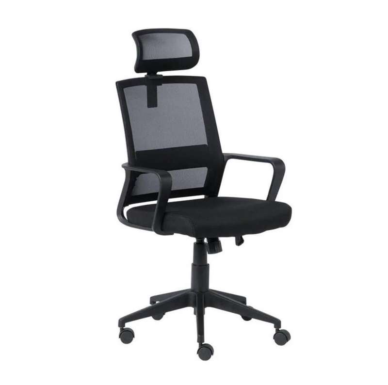 DotFurn Executive High Back Office Chair  Ergonomic Mesh Design with Lumbar Support & Adjustable