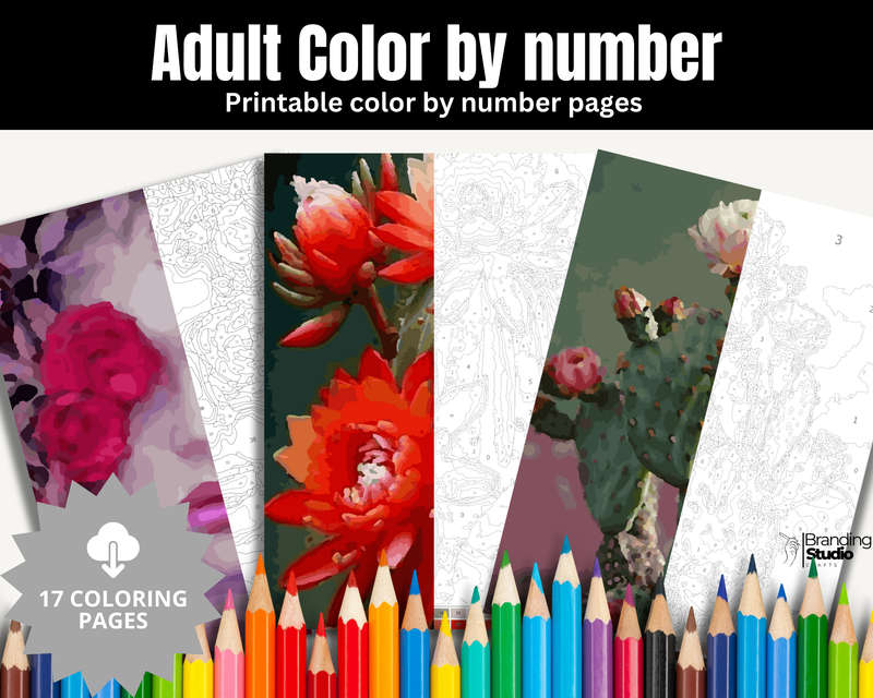 Adult Colour By Number: Floral Colouring Book (E-Book)