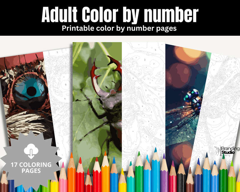 Adult Colour By Number: Insect Colouring Book (E-Book)