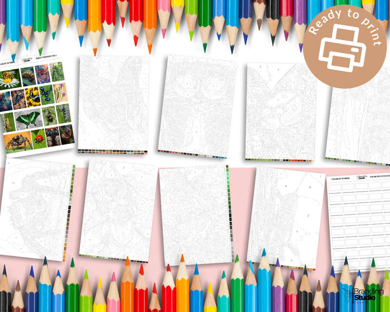 Adult Colour By Number: Insect Colouring Book (E-Book)