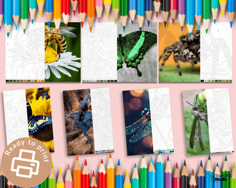 Adult Colour By Number: Insect Colouring Book (E-Book)