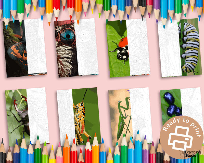 Adult Colour By Number: Insect Colouring Book (E-Book)