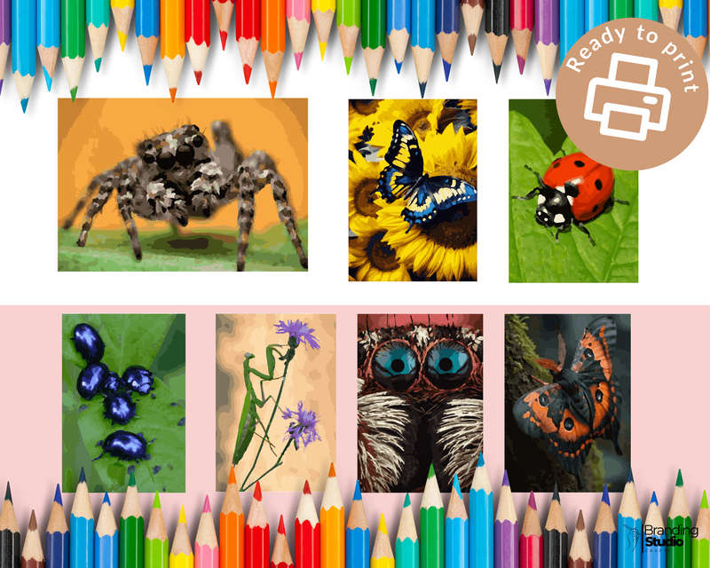 Adult Colour By Number: Insect Colouring Book (E-Book)
