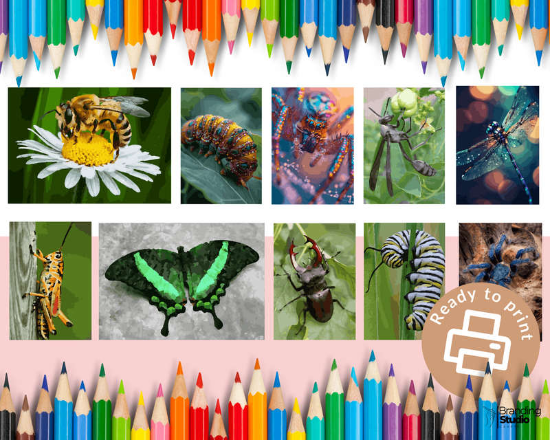 Adult Colour By Number: Insect Colouring Book (E-Book)