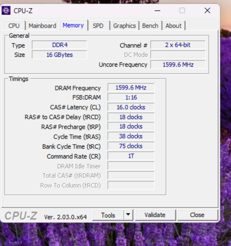 AMD Ryzen 5 5600 Upgrade kit