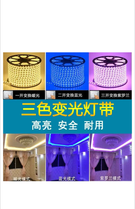 Blue Strip LED Light 5050 -100M