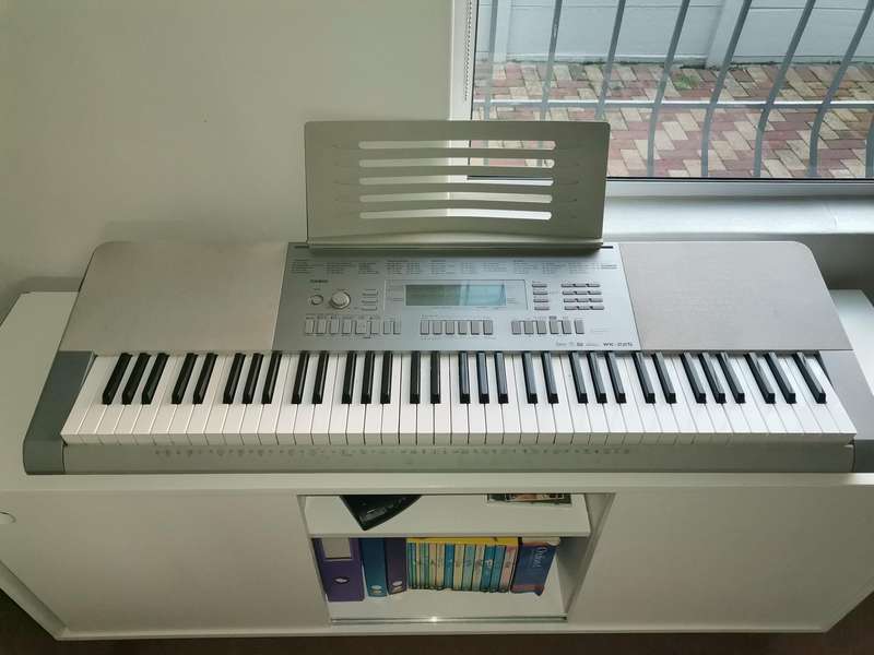 Casio wk-225 76-key portable arranger keyboard