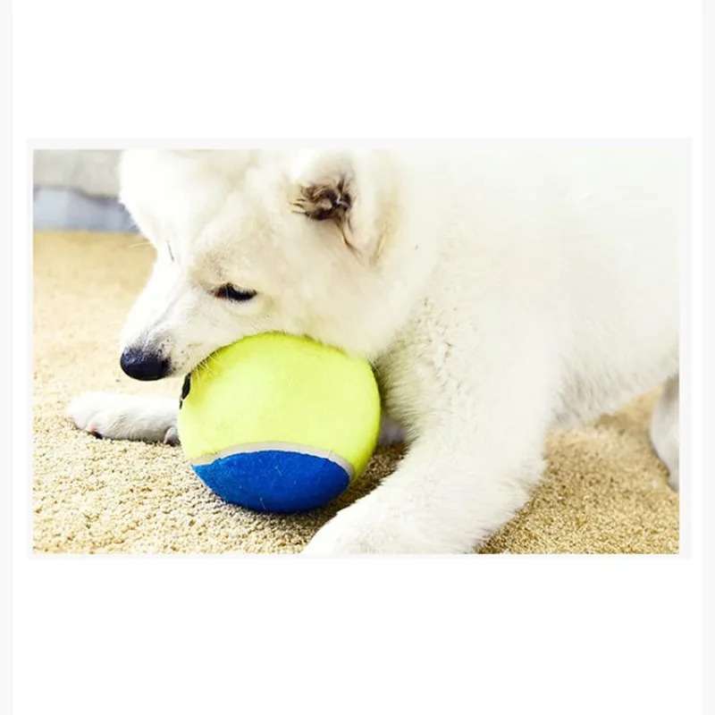 6 x tennis balls for Dogs