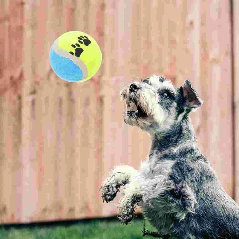 6 x tennis balls for Dogs