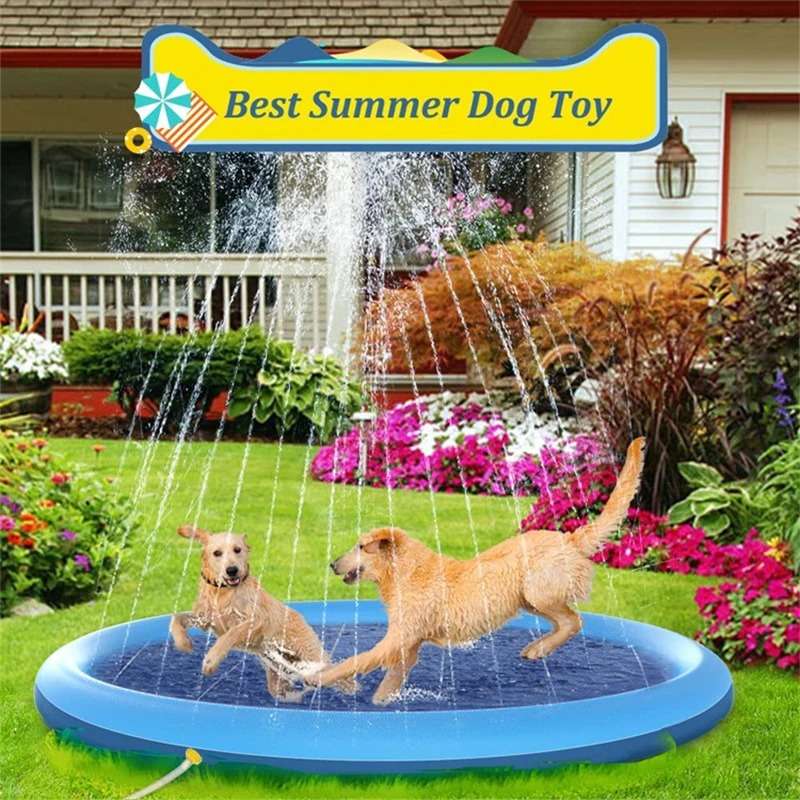 Best pet pool for your furry friend