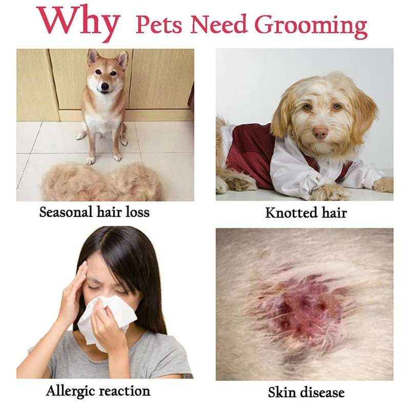 Pet Grooming Brush