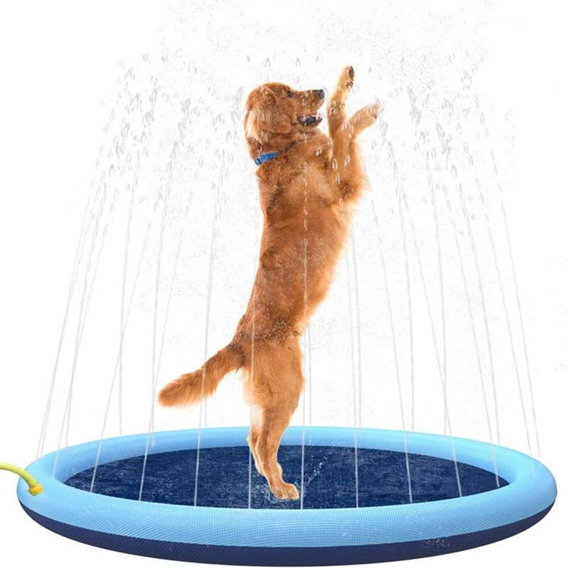 Best pet pool for your furry friend