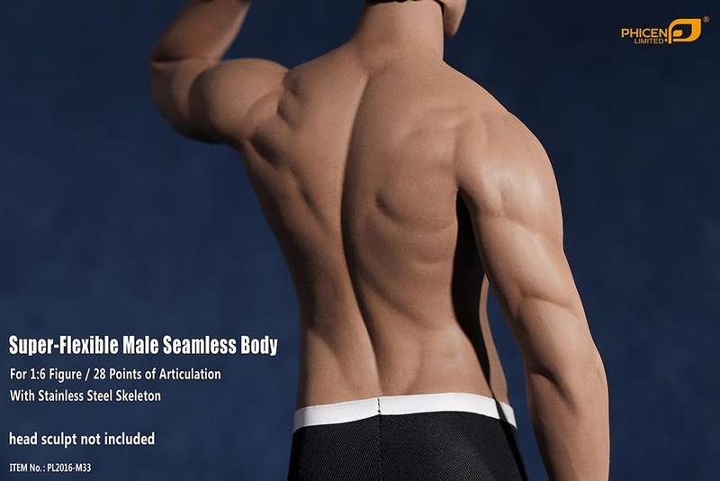 Muscular Guy (NO Head Sculpt) TBLeague 1/6th Scale Super Flexible male Female Action Figure-M33
