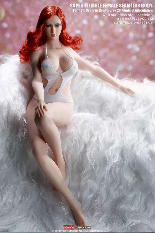 Tall Girl TBLeague 1/6th  Seamless Action Figure -S42 Photography Painting Model