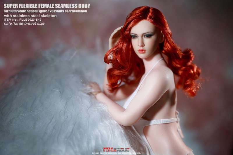 Tall Girl TBLeague 1/6th  Seamless Action Figure -S42 Photography Painting Model