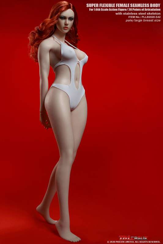 Tall Girl TBLeague 1/6th  Seamless Action Figure -S42 Photography Painting Model