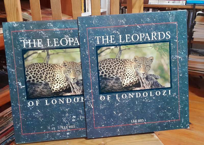 The Leopards of Londolozi