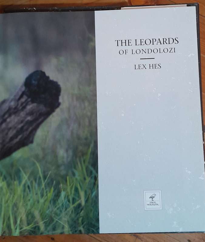 The Leopards of Londolozi