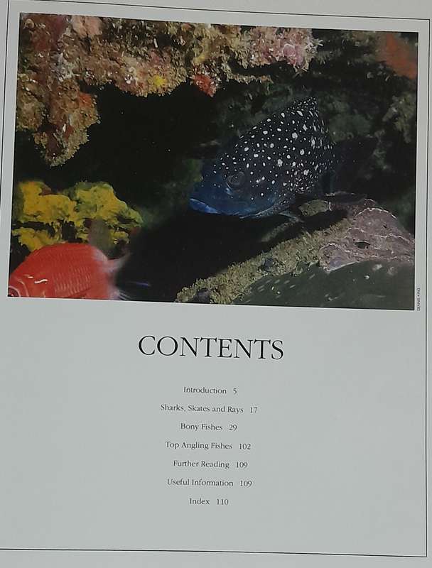 Fishing books -  set of four