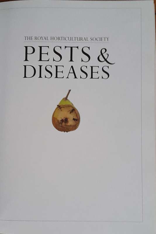 Pests & Diseases