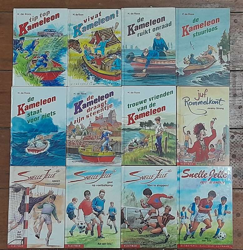 A set of 12 Dutch books for children